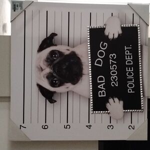 Black and White Dog Mugshot Canvas